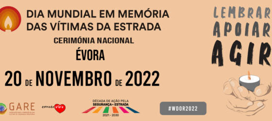 DIA MUNDIAL EM MEMÓRIA DAS VÍTIMAS DA ESTRADA 2022