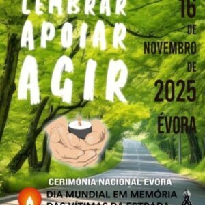 DIA MUNDIAL EM MEMÓRIA DAS VÍTIMAS DA ESTRADA 2025